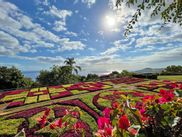 Botanischer Garten in Funchal