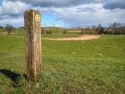 Hölzerner Wegweiserpfosten mit gelbem Rautensymbol in grüner Landschaft bei Drymen, mit sanften Hügeln unter bewölktem Himmel.