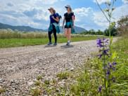 Two female hikers walking on a gravel path through Friuli countryside with mountains in background and purple wildflowers in foreground.