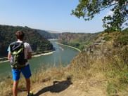 Blick zum Loreley Felsen