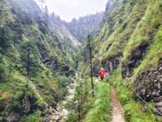 Verregneter Wanderpfad am Klausbach nahe des Attersees