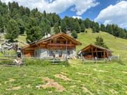 Alpine hut