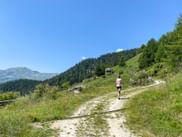 Hiker on the hiking trail