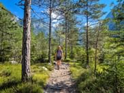 Wanderin auf felsigem Waldweg in Trenta, Soča-Tal. Hohe Kiefern säumen den Weg, im Hintergrund sind die Julischen Alpen sichtbar.