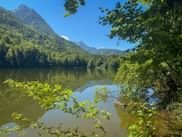 Calm Nussensee lake in Salzkammergut framed by green tree branches, reflecting forested mountains under a clear blue sky.