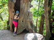 Hiding place in the tree