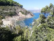 Blick auf eine Bucht bei Capoliveri
