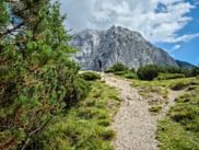 Wanderin auf Bergpfad am Vršič Pass in den Julischen Alpen mit felsigem Gipfel Bavha. Weg führt durch grüne Almwiesen mit Kiefern.