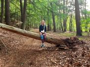 Wanderin auf umgefallenem Baum