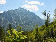 The panorama of the alpine pasture hike at Wolfgangsee