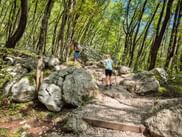 Zwei Wanderer mit Rucksäcken auf felsigem Waldweg mit Holzstufen in den Julischen Alpen, Soča-Tal. Sonnenlicht fällt durch grünes Blätterdach.