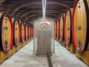Symmetrical rows of large wooden wine barrels with red trim in a vaulted brick cellar in Barolo, Piedmont, with a central fountain.