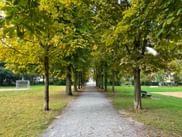 Allee in Aschaffenburg