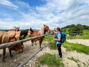 Wanderer mit Pferde auf Pferderanch