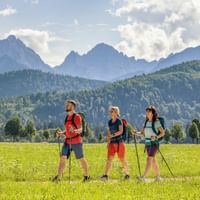 Wandergruppe in Neuschwanstein