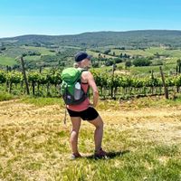 Hiker in front of vines near San Gimignano with rolling hills in the background