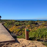 Wanderer auf Holzsteg durch Küstenvegetation auf der Rota Vicentina im Alentejo, Portugal. Ozean in der Ferne unter blauem Himmel sichtbar.