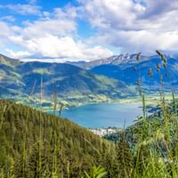 Alpensee Zeller See umgeben von grünen Bergen und schneebedeckten Gipfeln. Wildblumen blühen im Vordergrund unter blauem Himmel mit Wolken.