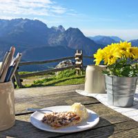Plum cake at the table on the alpine pasture on the Gosaukamm with mountain panorama