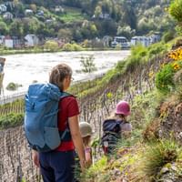 Family hike along the Moselle