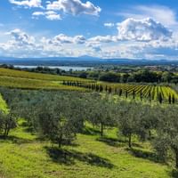 Wanderreise Franziskusweg am Trasimenersee