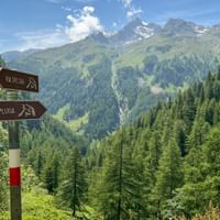 Wooden trail signs pointing to Via Spluga hiking route with snow-capped Alpine peaks, green forested valleys, and blue sky in Switzerland.