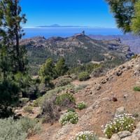 Rundwanderung am Pico de las Nieves mit Blick auf den Roque Nublo