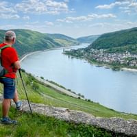 Hiker with backpack and trekking poles standing on hillside overlooking Rhine River valley with green vineyards and village below under blue sky.