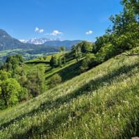 Lush green meadows on Ritten Plateau with stone wall path, trees, and snow-capped Alpine peaks under blue sky near Sterzing.
