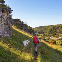 Wanderin mit Hund auf einem schmalen Steig mit Felsen im Altmühltal