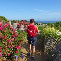 Wanderin an der Küste mit Blumenpracht entlang des Weges