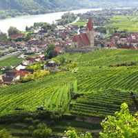Blick auf in Weinbergen gelegene Weissenkirchen und die Donau