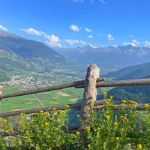 Panorama of Reschen, wooden fence, flowers, mountains in the background, sunshine