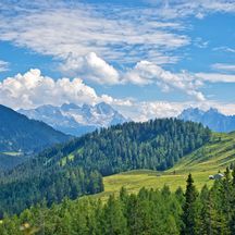 Postalm Panorama with Dachstein in the background
