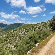 Wanderpfad auf dem Monte Pisani