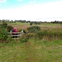 Hiking panorama in Cotswolds
