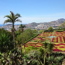 Funchal Blumengarten Madeira