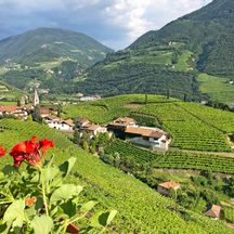 Ausblick auf die hügelige Landschaft Südtirols