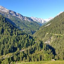 Alpen Steeg mit Waldblick