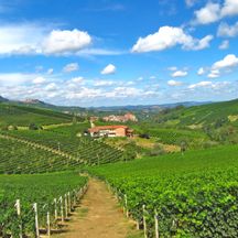 Bezaubernde Weinberge im Piemont