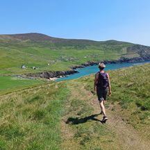 Hikers on the hiking trail