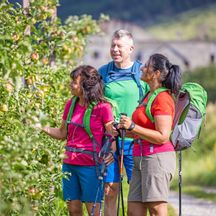 Hike along apple orchards