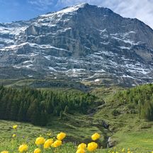 Blick auf den Eiger