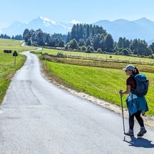 Hiker on a small meadow road