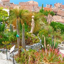 Bezaubender Pflanzengarten inmitten eines Übernachtungsortes an der Côte d'Azur