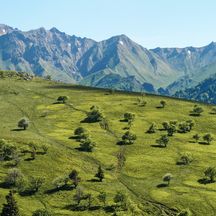 Wandern auf dem Hochplateau des Sancy Massivs in der Auvergne