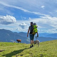 Wanderer mit Hund auf Almwiese bei der Marbachhöhe