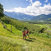 Wanderer genießen die Wanderung inmitten der Apfelgärten im Vinschgau