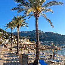 Sandy beach and palm trees at Port Soller