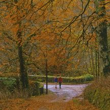 Herbstimpressionen am Great Glen Way
